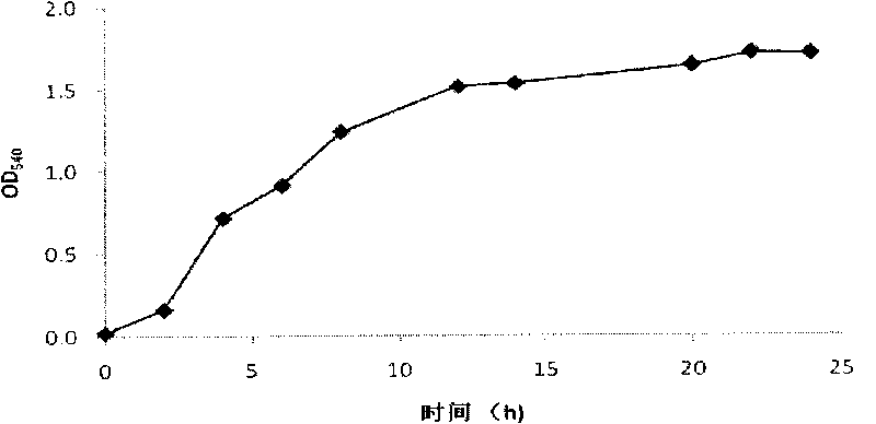 Method for culturing microbial strain for degrading industrial waste water