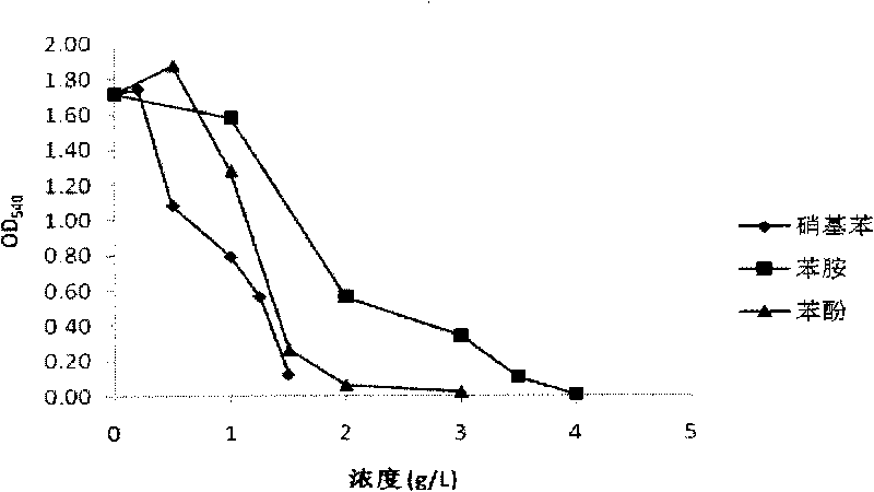 Method for culturing microbial strain for degrading industrial waste water