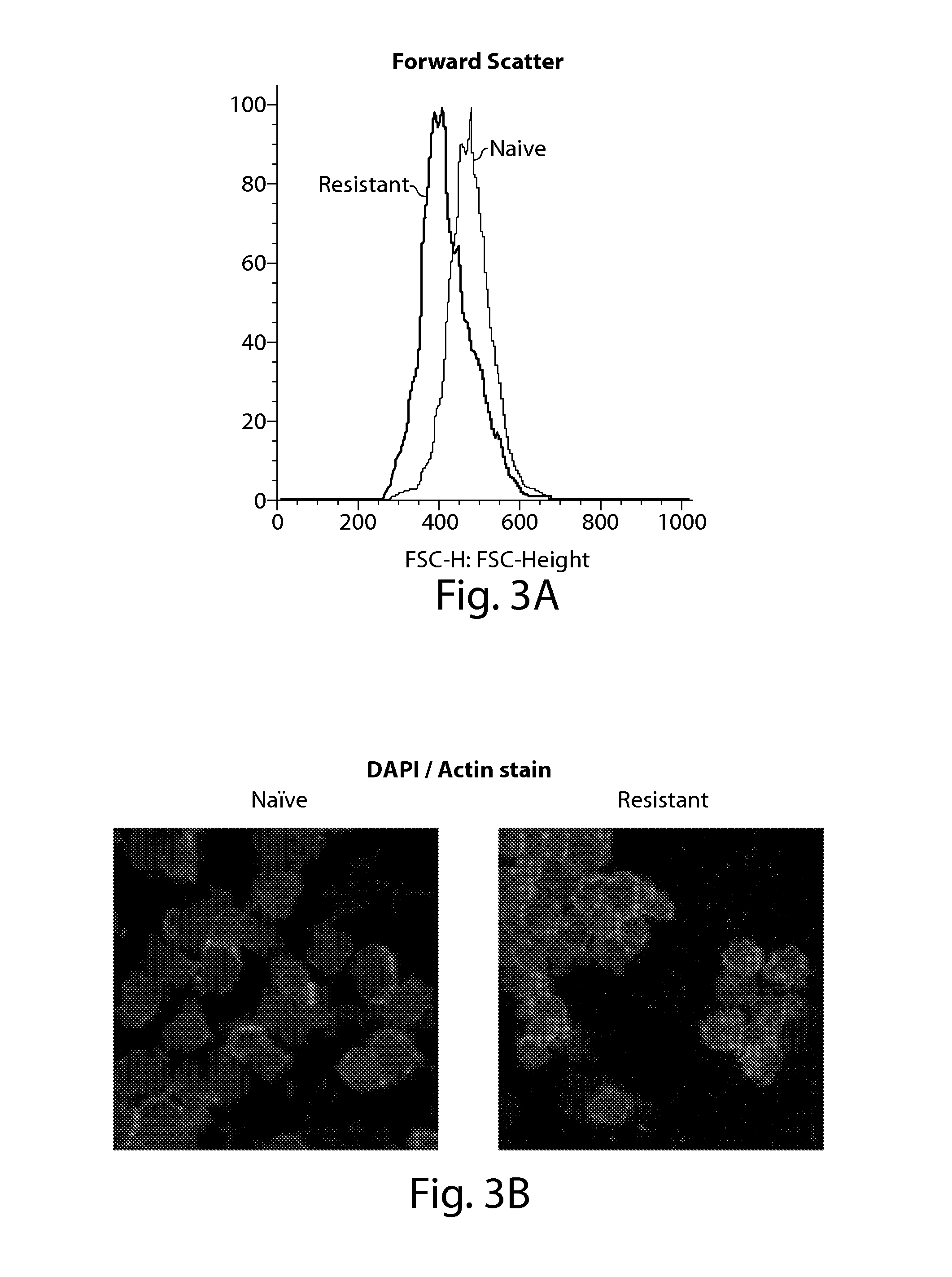 Diagnostic and treatment methods in subjects having or at risk of developing resistance to cancer therapy