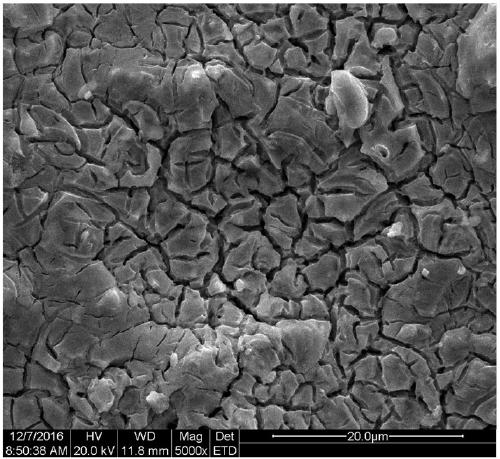 Preparation method and application of nano-structural photocatalytic electrode