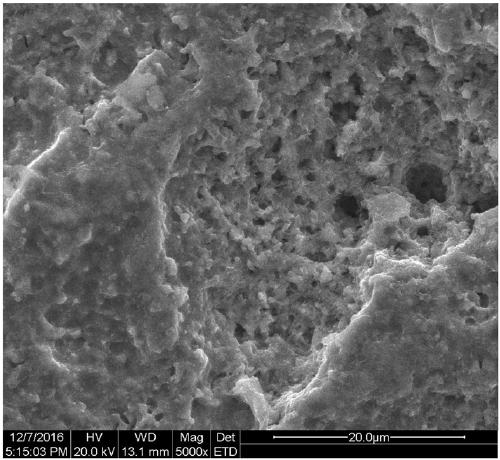 Preparation method and application of nano-structural photocatalytic electrode