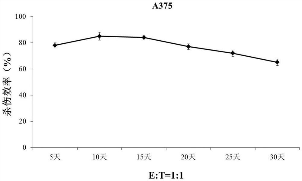 Induced T-to-natural killer feeder cell as well as preparation method and application thereof