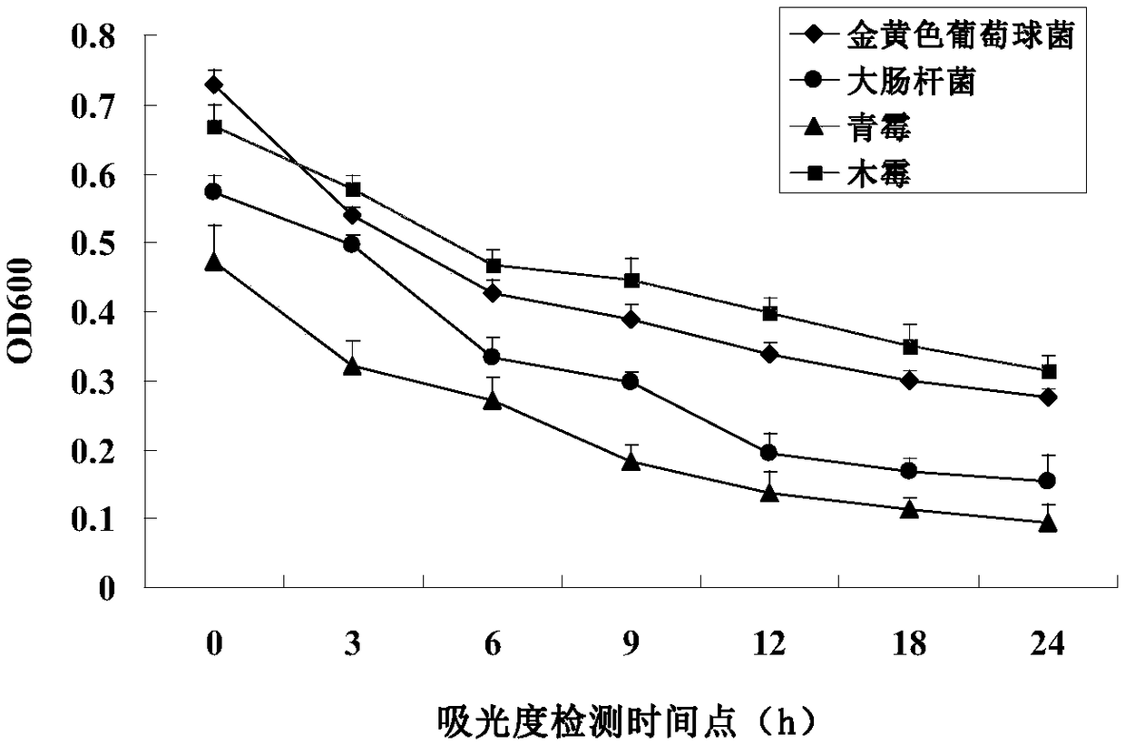 Antibacterial peptide as well as preparation thereof and application thereof in animal feed additive