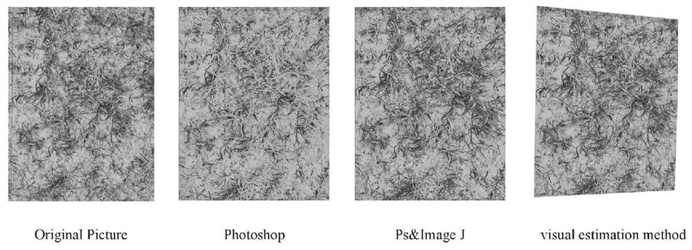 Method for analyzing plant coverage by utilizing Image J and Photoshop