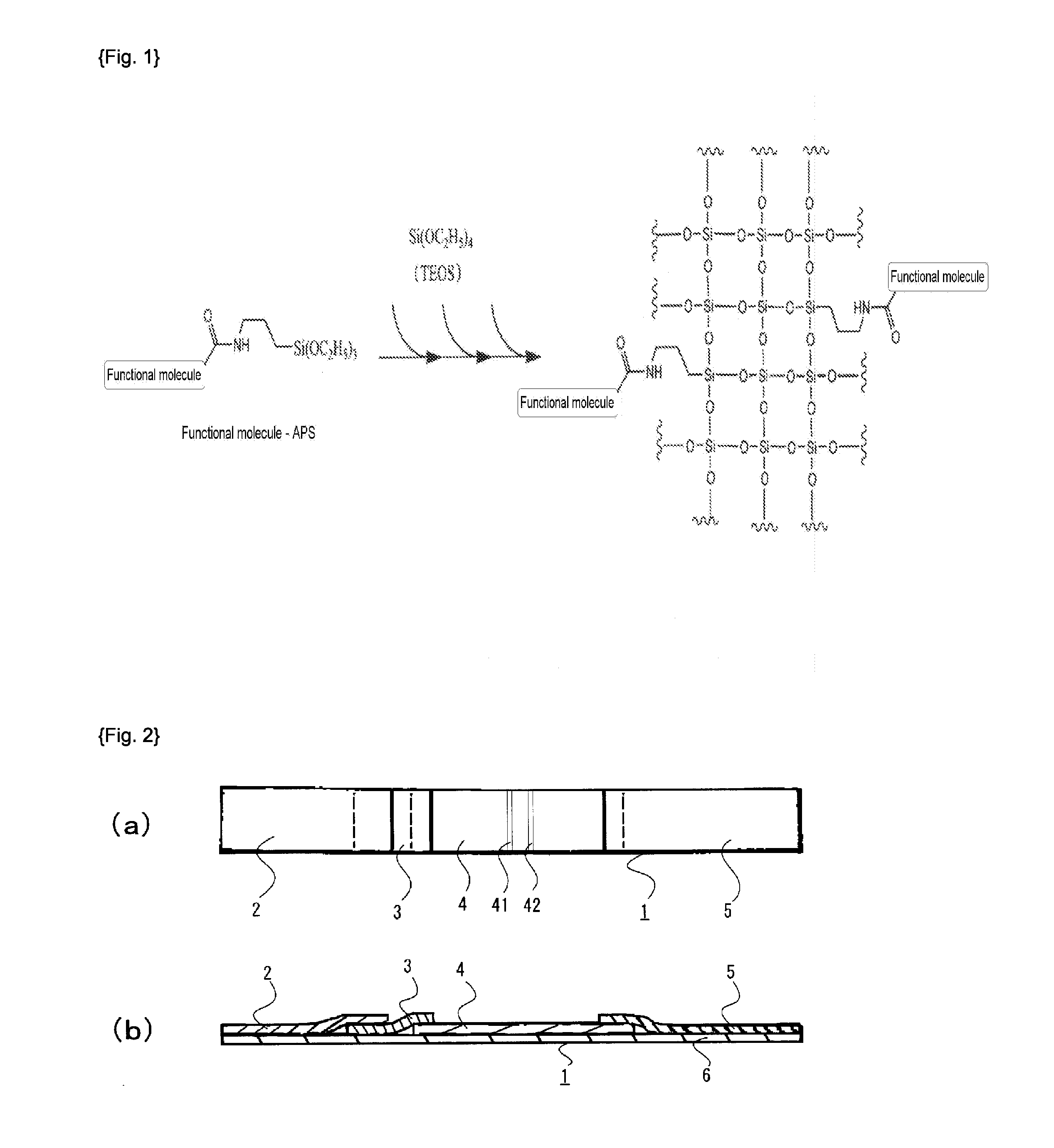 Method of producing functional molecule-containing silica nanoparticles on which biomolecules are bonded