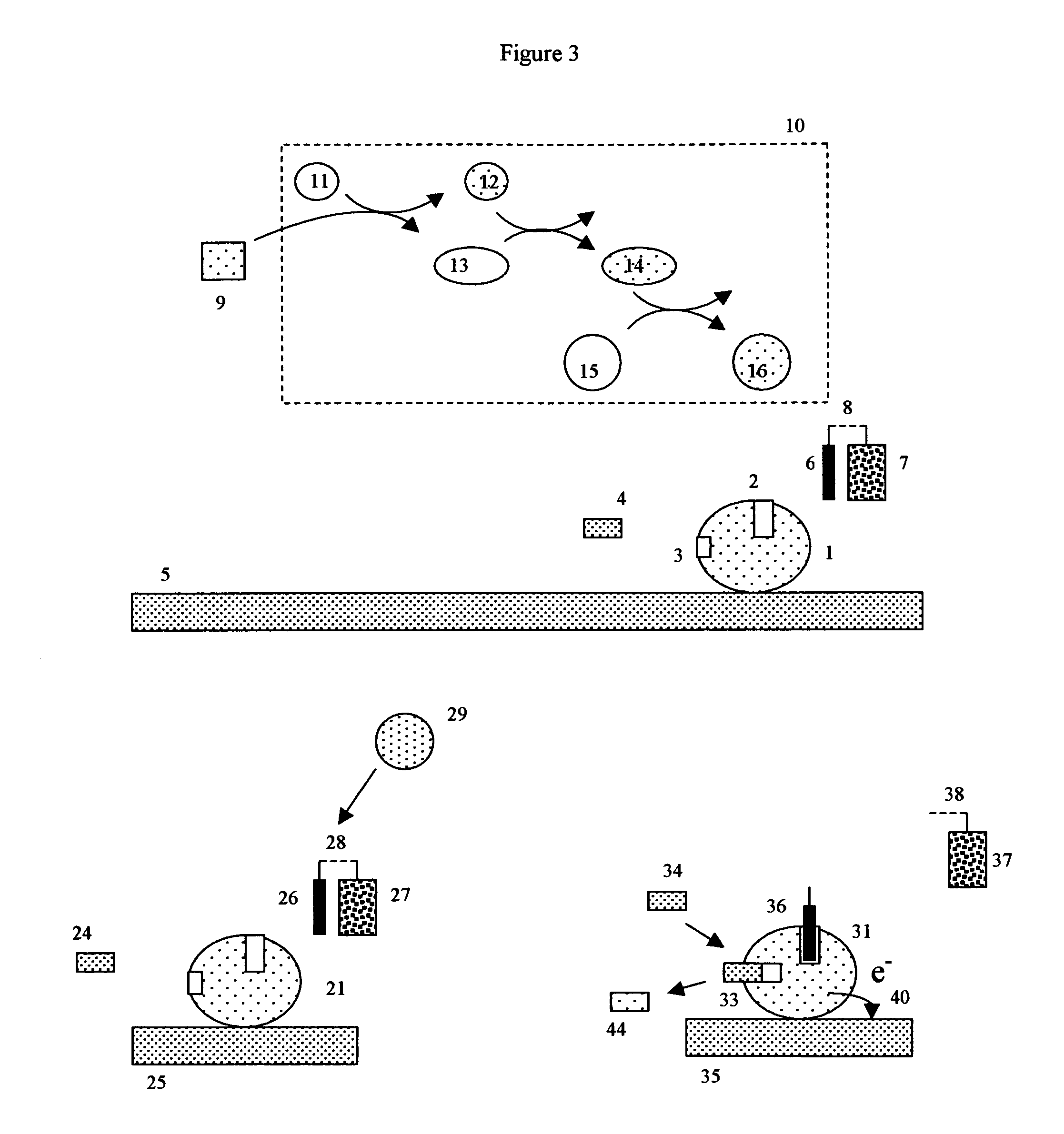 Apoenzyme reactivation electrochemical detection method and assay