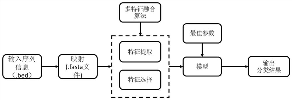 CircRNA function prediction method based on scoring mechanism and LightGBM