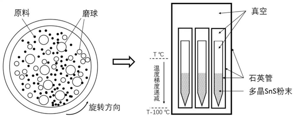 A kind of n-type sns single crystal thermoelectric material and preparation method thereof