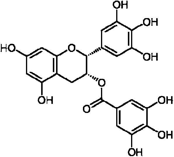 Skin external composition containing tangeretin and egcg