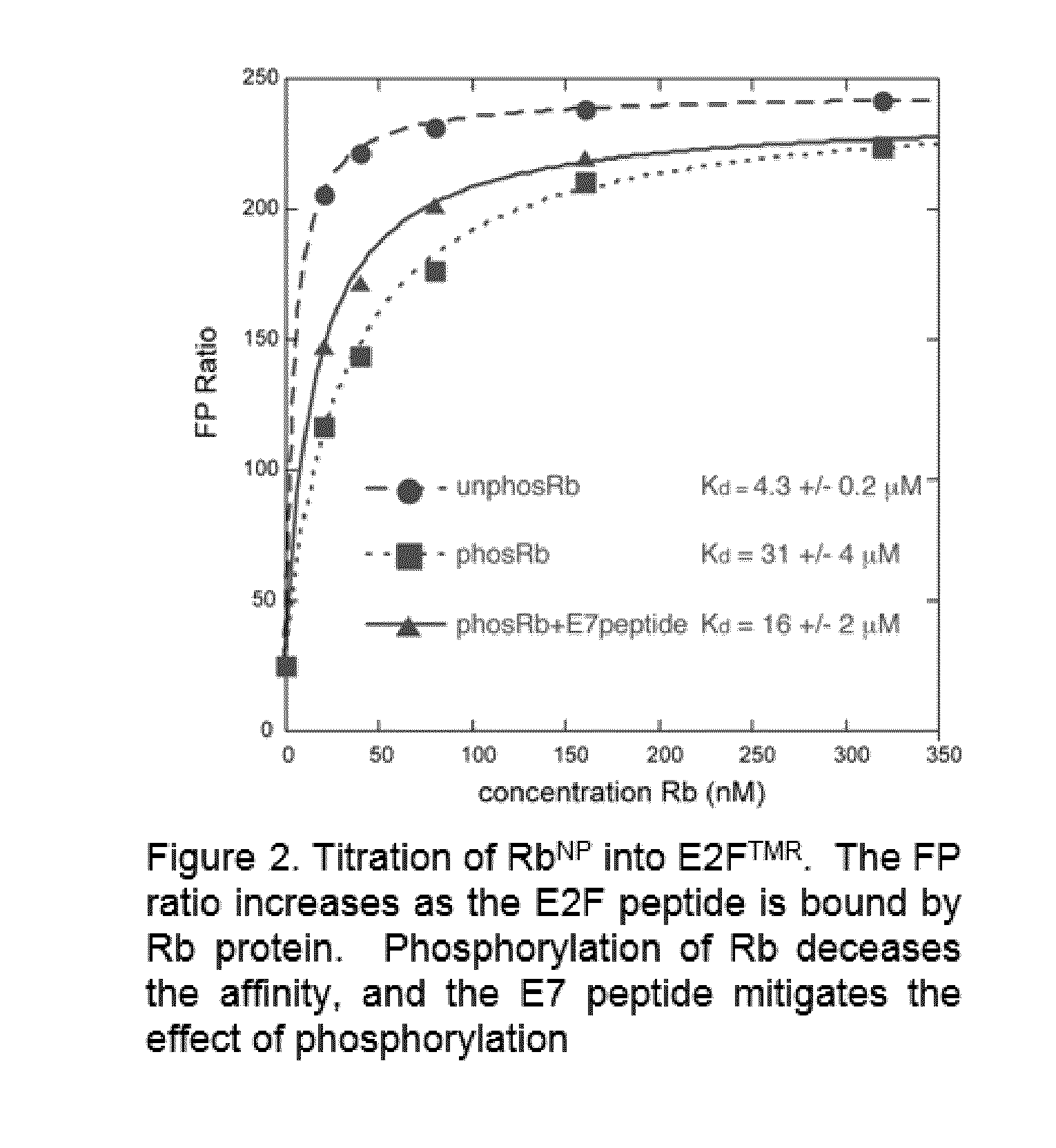 A high-throughput assay to identify molecules that modulate Rb-E2F binding