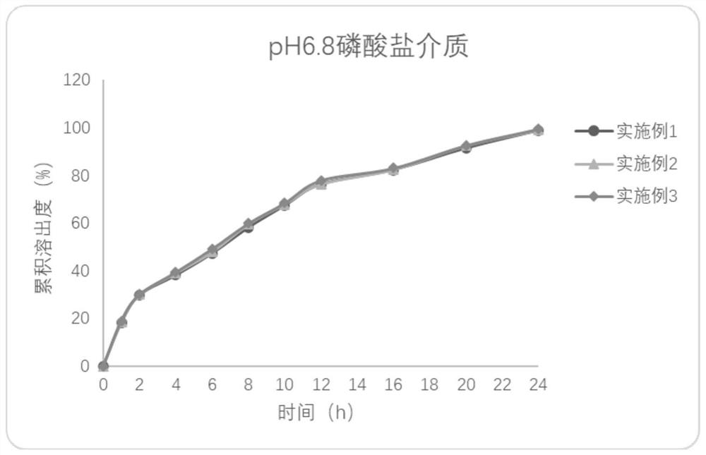 Efinbuprofen sustained-release tablet and preparation method thereof