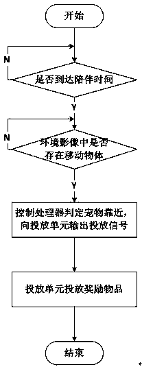 Pet accompanying system based on virtual imaging technology