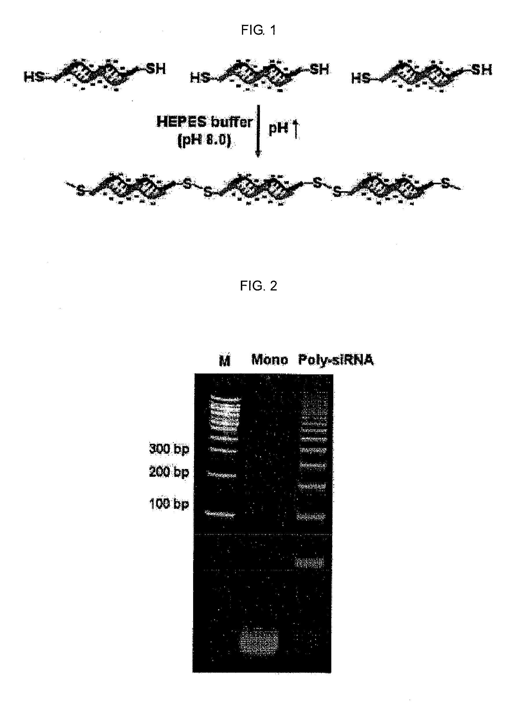 Method for polymerizing a small oligonucleotide, and use of a high-molecular oligonucleotide prepared by the polymerization method