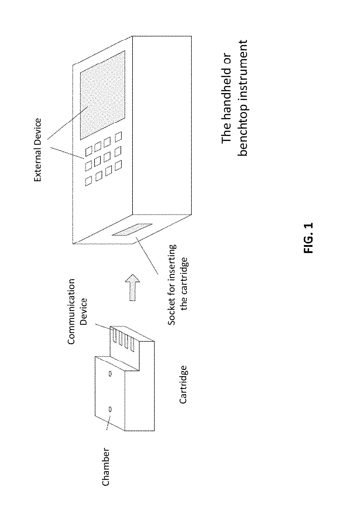 Apparatus for amplification of nucleic acids