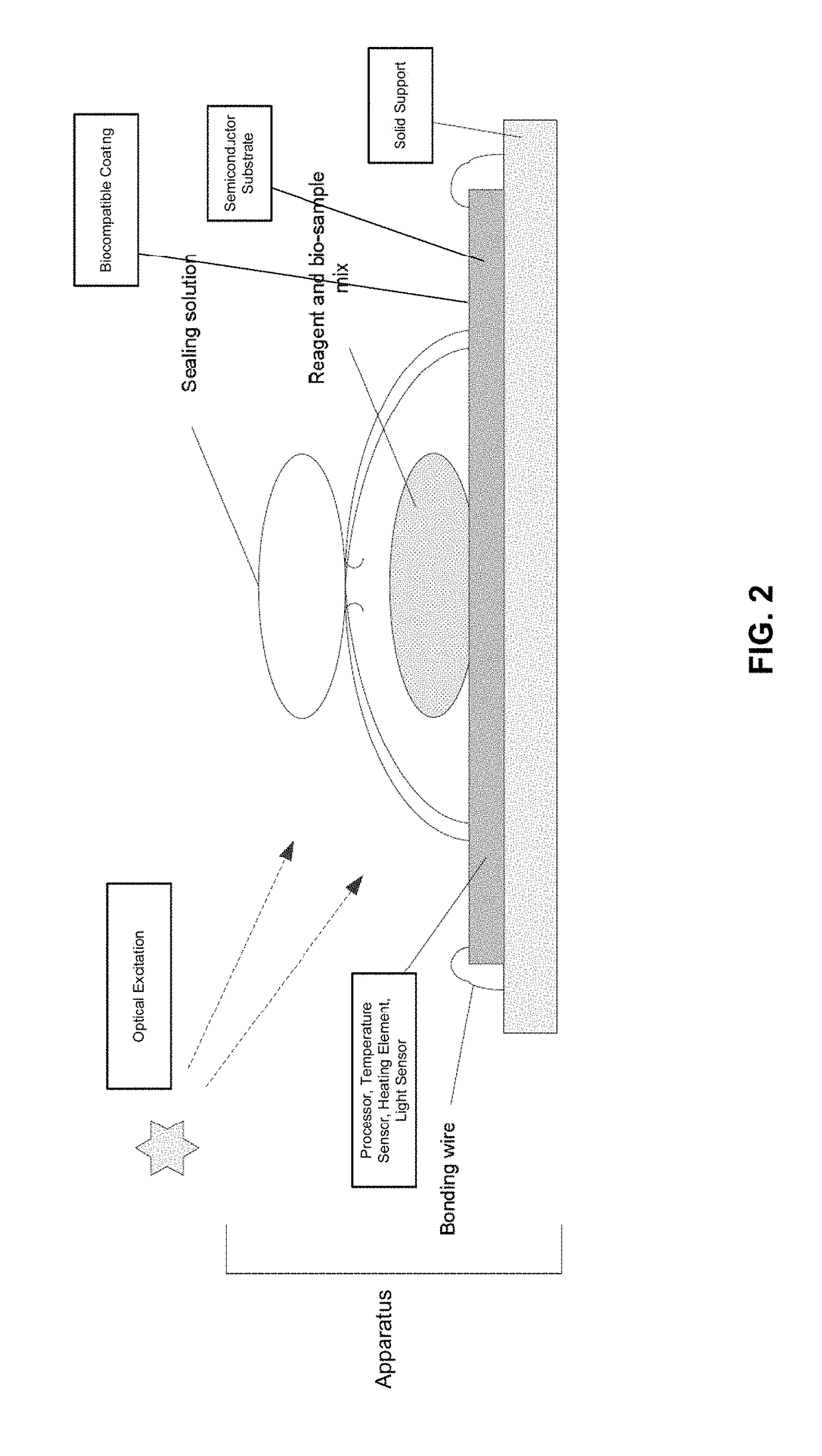 Apparatus for amplification of nucleic acids