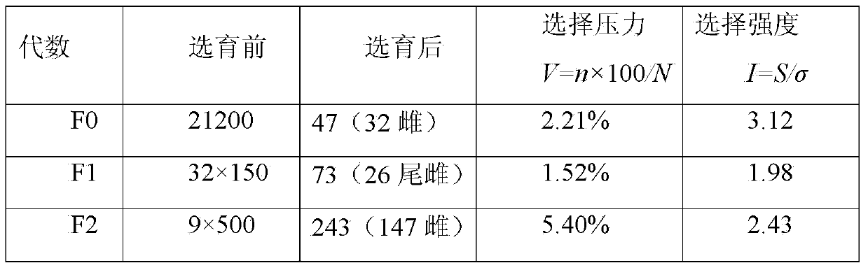 Breeding method of masu salmons