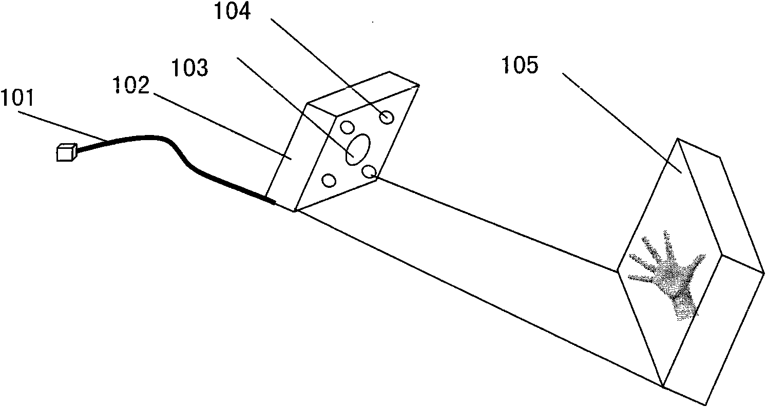 Acquisition device and processing method of palm print image