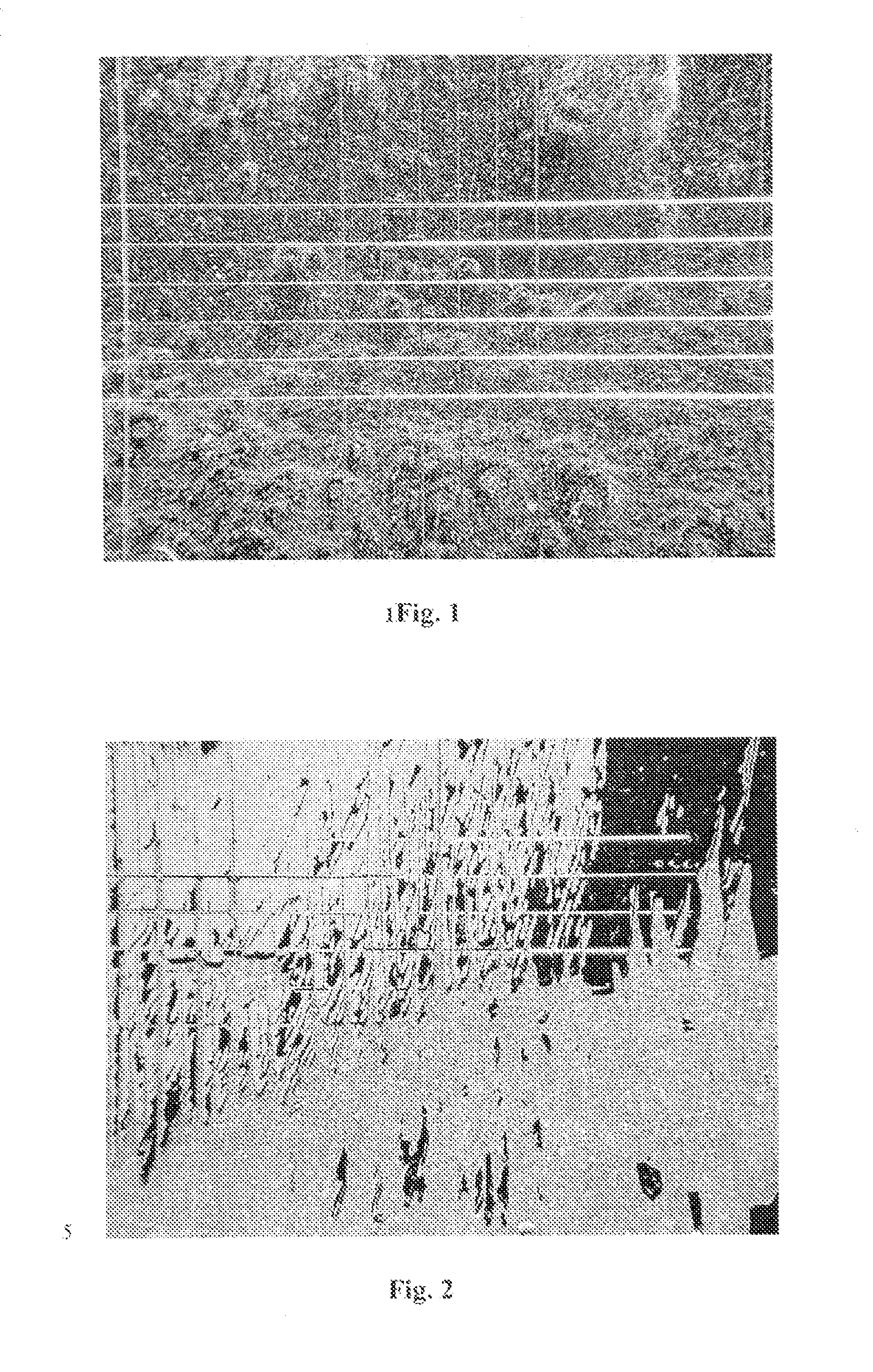Silver-containing aqueous formulation and its use to produce electrically conductive or reflective coatings
