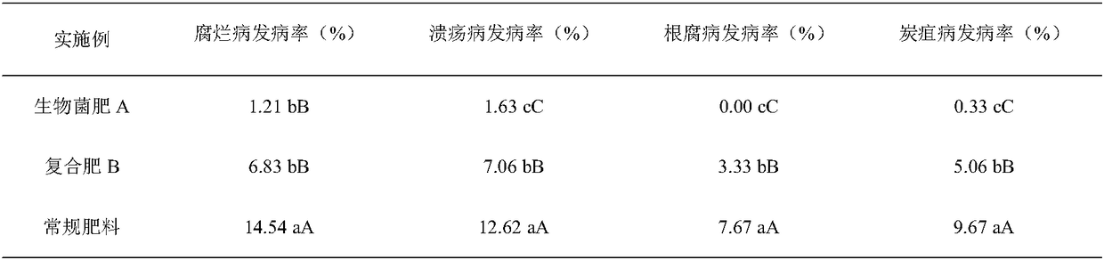 High-efficiency biological bacterial fertilizer for dragon fruits, as well as preparation method and application thereof