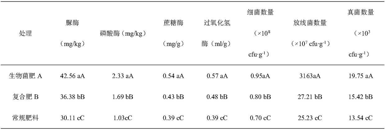High-efficiency biological bacterial fertilizer for dragon fruits, as well as preparation method and application thereof