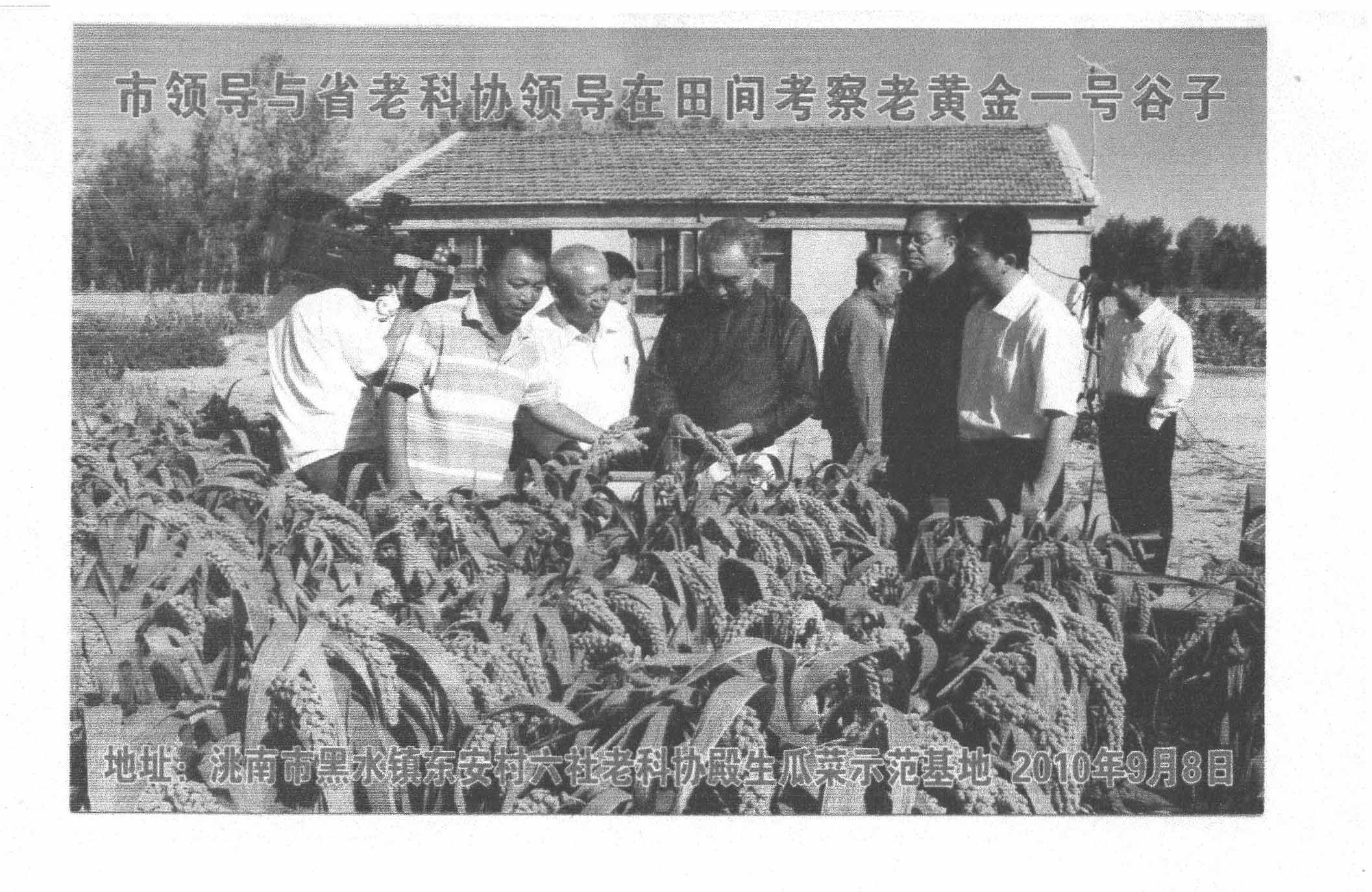 Breeding of New Varieties of High Yield and Drought Resistant Millet and Its Supporting Cultivation Techniques