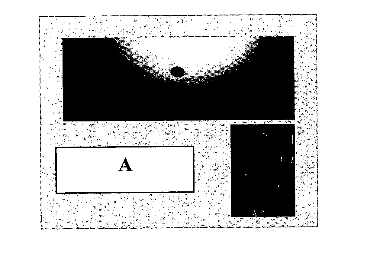 Multi-modality marking material and method
