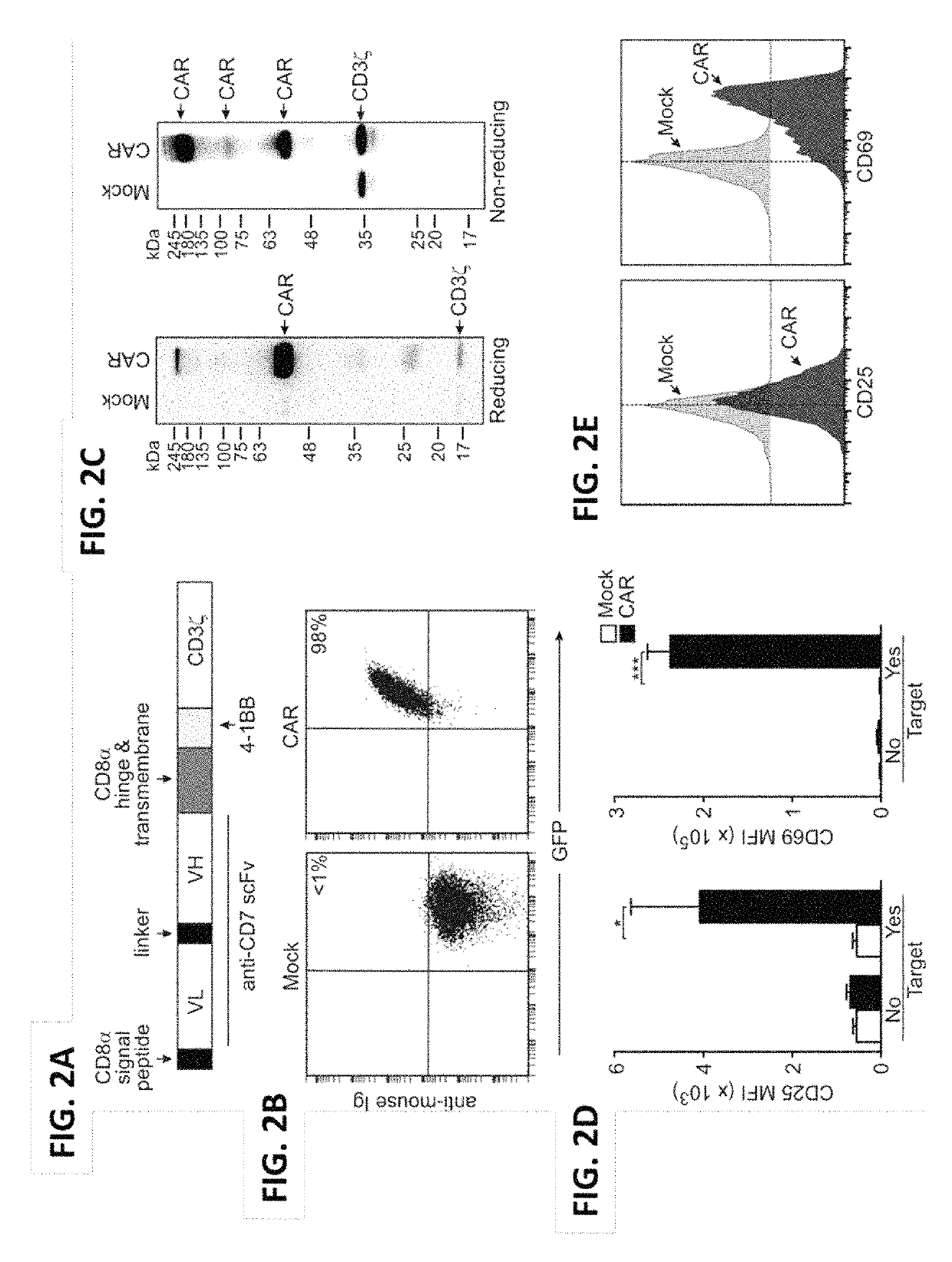 Blockade of CD7 expression and chimeric antigen receptors for immunotherapy of T-cell malignancies