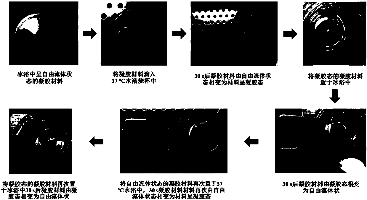 Preparation method of temperature-sensitive hydrogel precursor