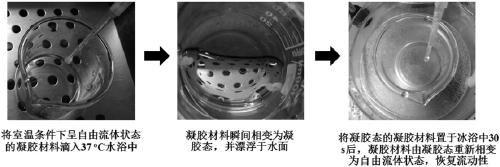 Preparation method of temperature-sensitive hydrogel precursor
