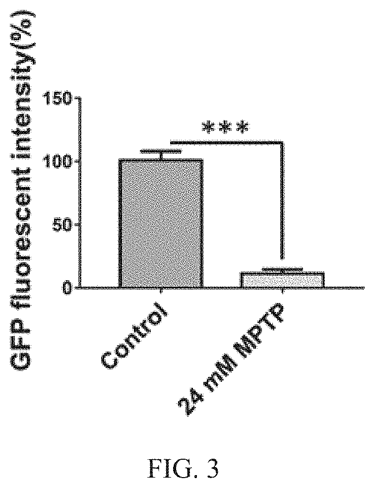 Method for treating cancer related to activation of ras gene in subject