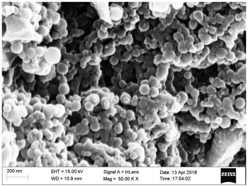 Preparation method of collagen polypeptide nanosphere grafted hydrated titanium oxide adsorption material