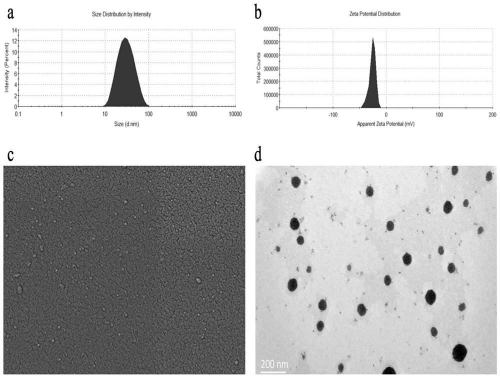 Novel retinoic acid nanoemulsion adjuvant for efficiently enhancing humoral immune response and mucosal immune response and preparation method and application of adjuvant
