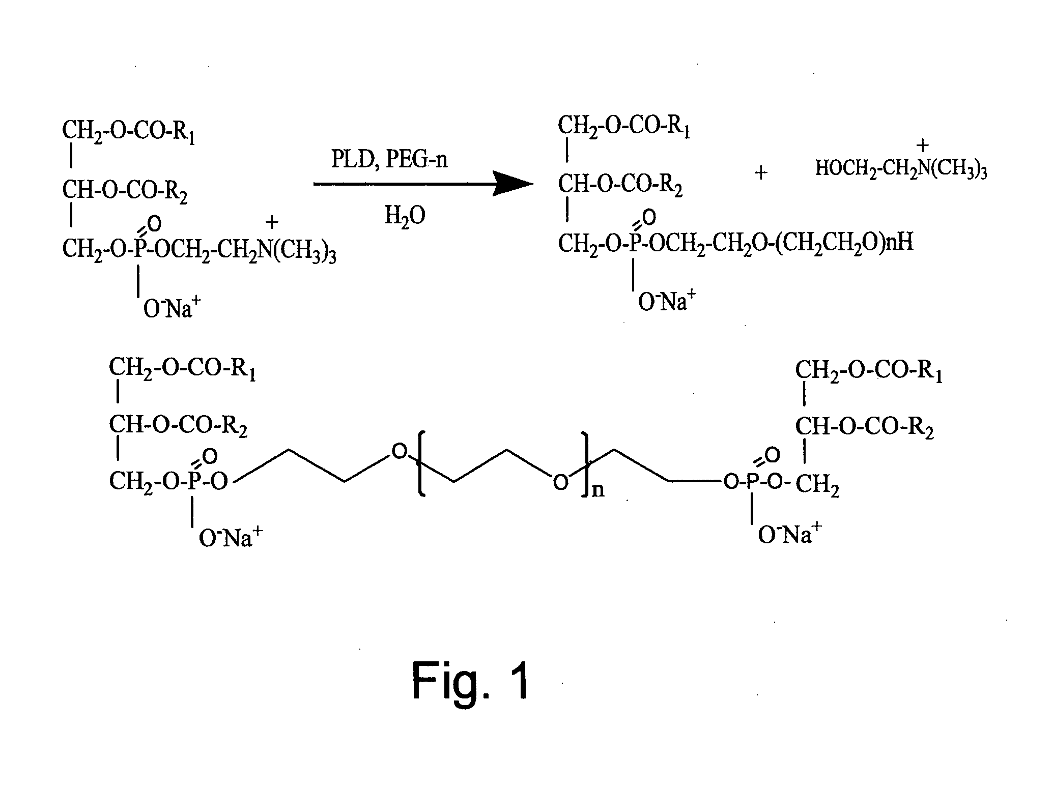 Preparation of Heavy Metal-Containing Nano-Liposomes and their Uses in Medical Therapy