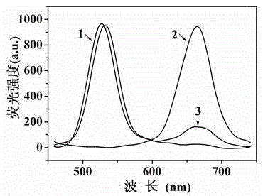 Boric acid quantum dot ratio fluorescent probe and preparation method and application thereof