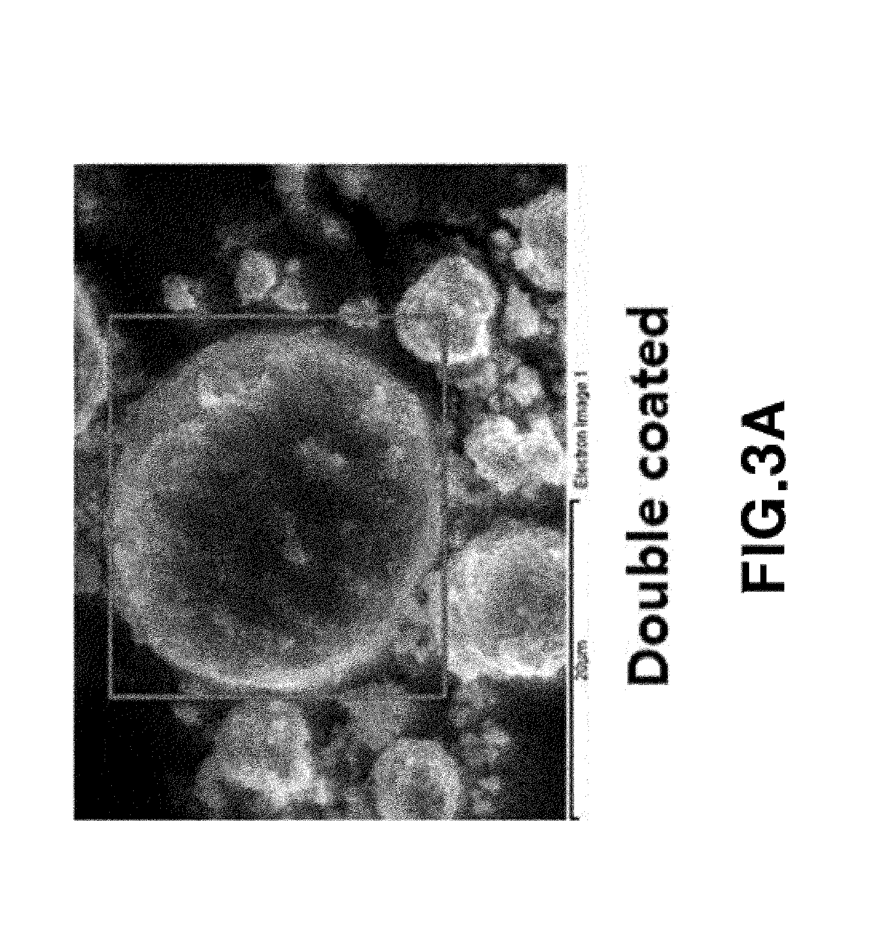 Surface-treated cathode active material and lithium secondary battery using the same