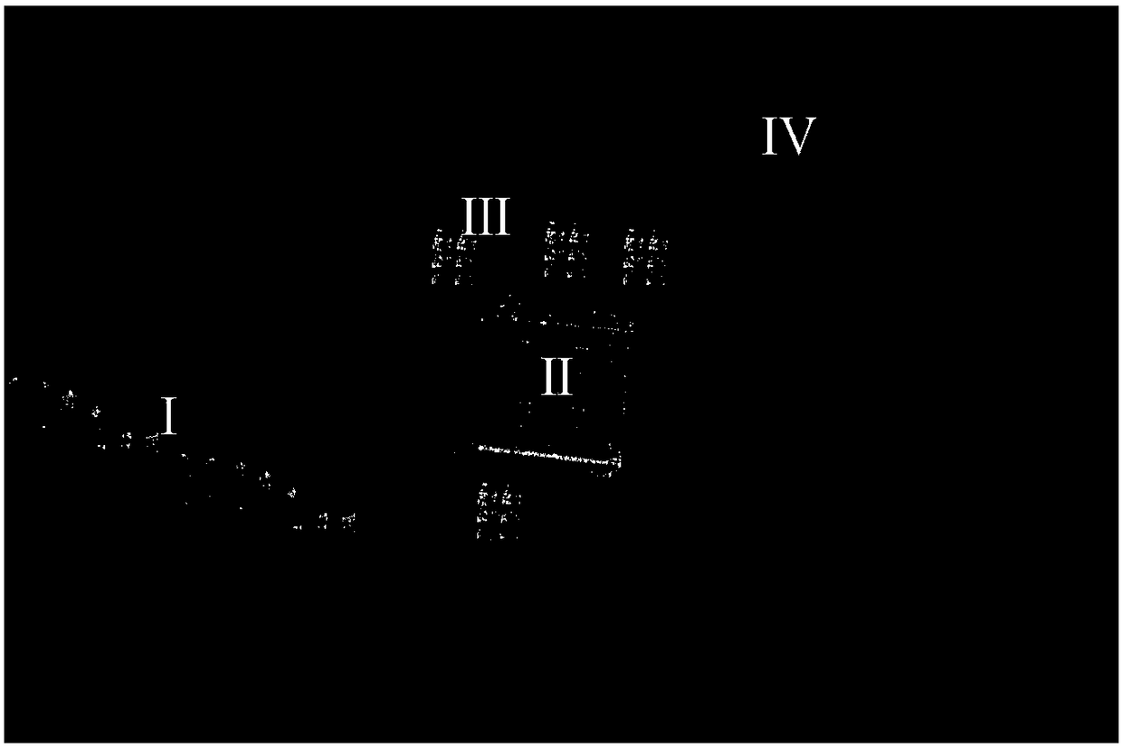 SAR deception jamming target identification method and system based on differential feature enhancement