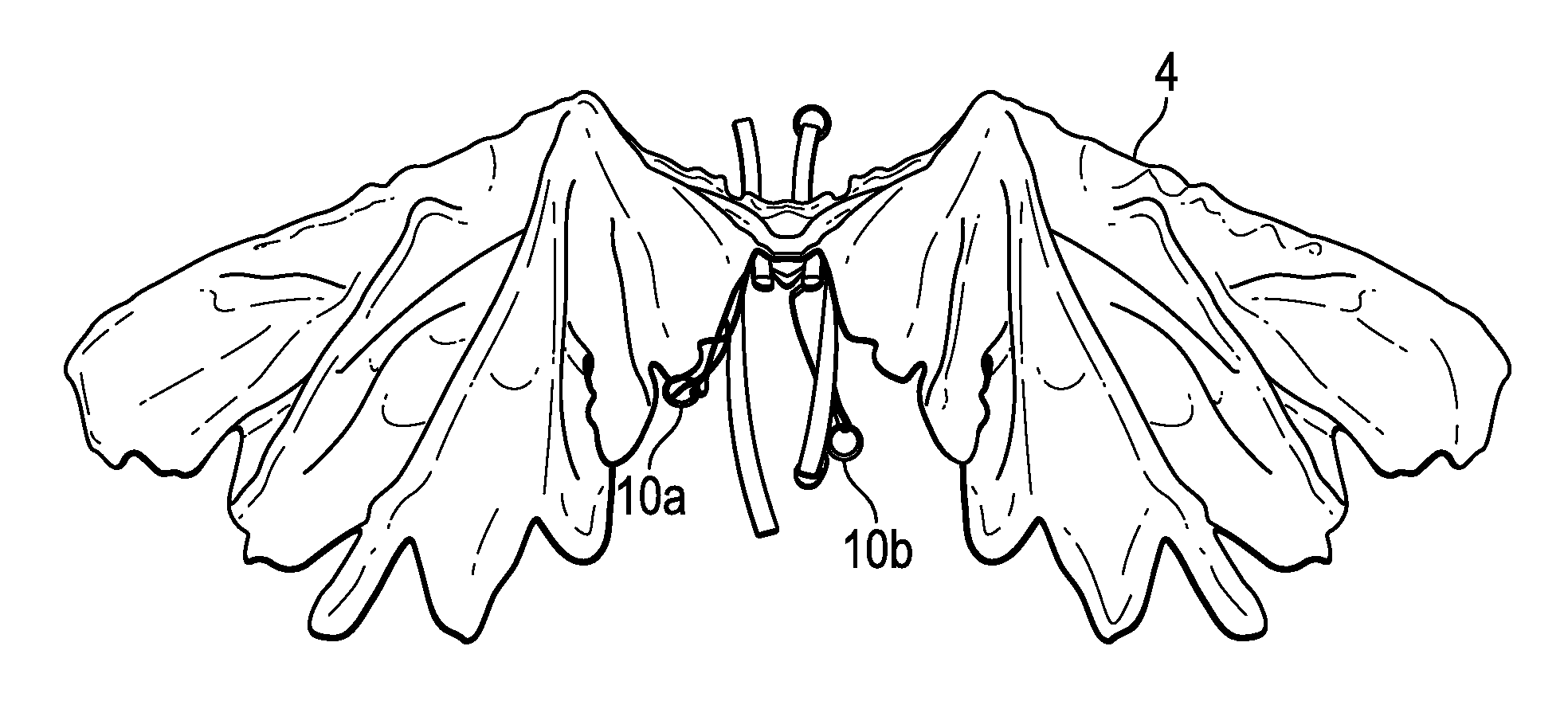 Mechanical costume wings