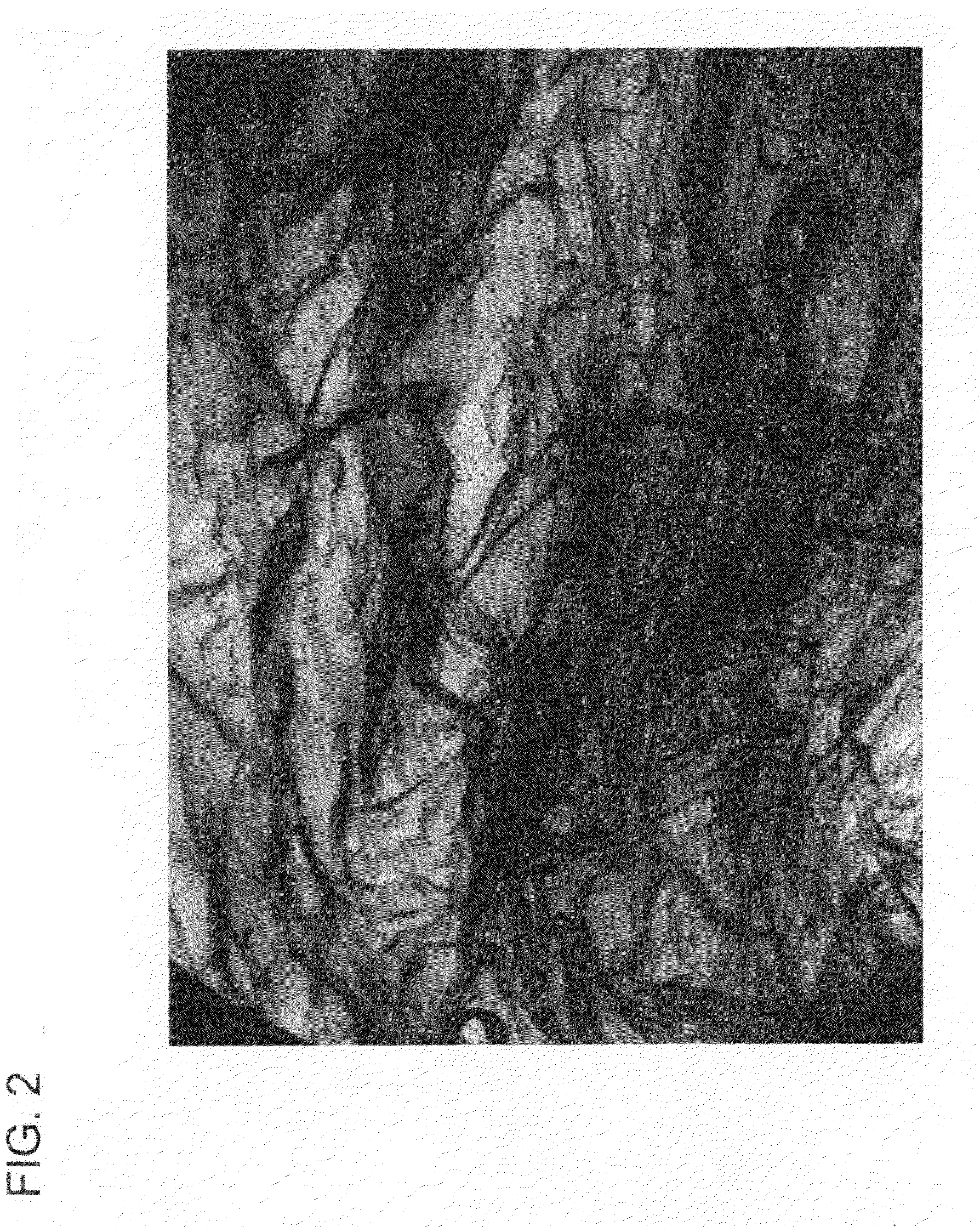 Meat Compositions Comprising Colored Structured Protein Products