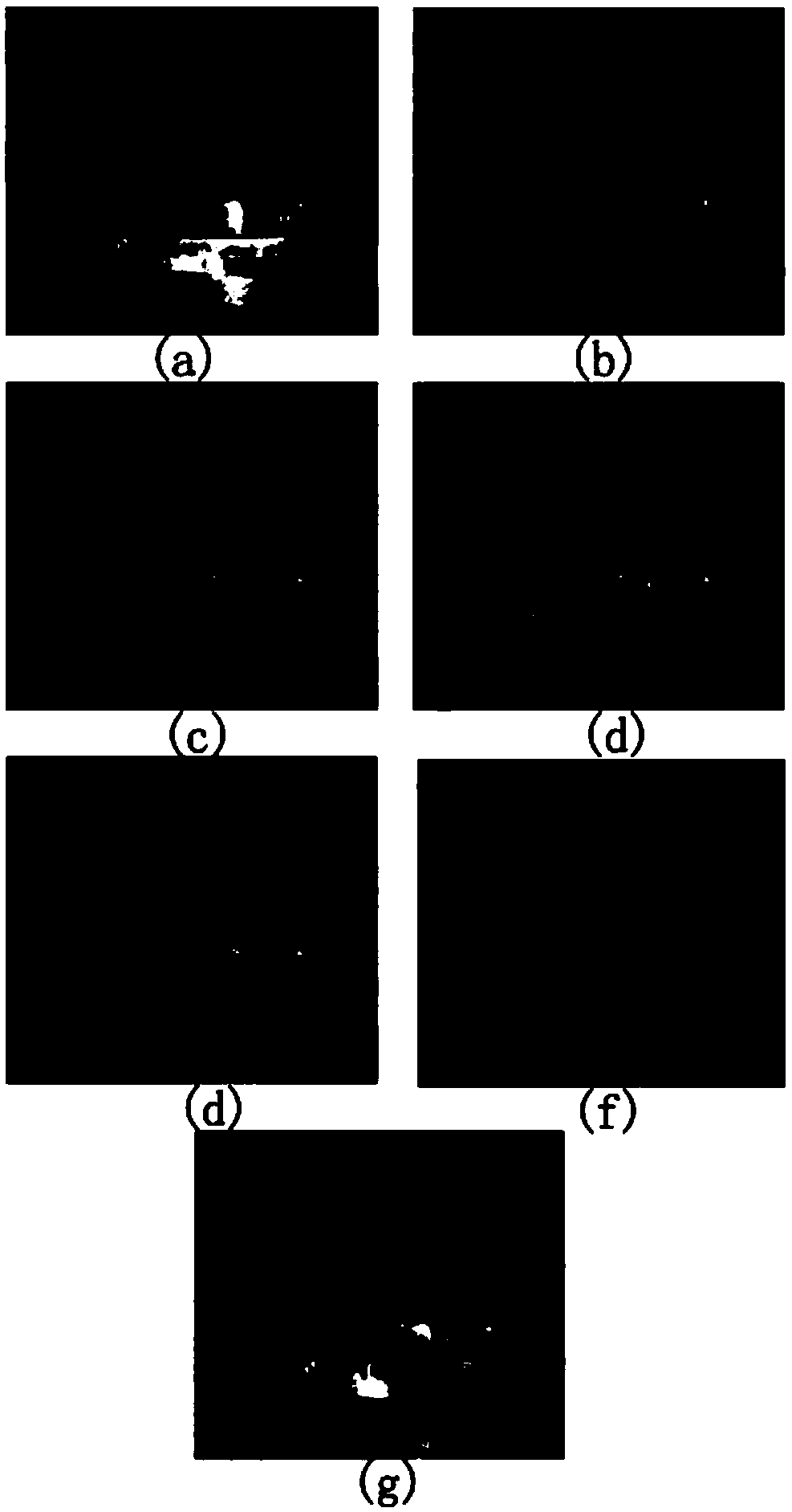 Fusion method of visible light and infrared image based on udct and pcnn