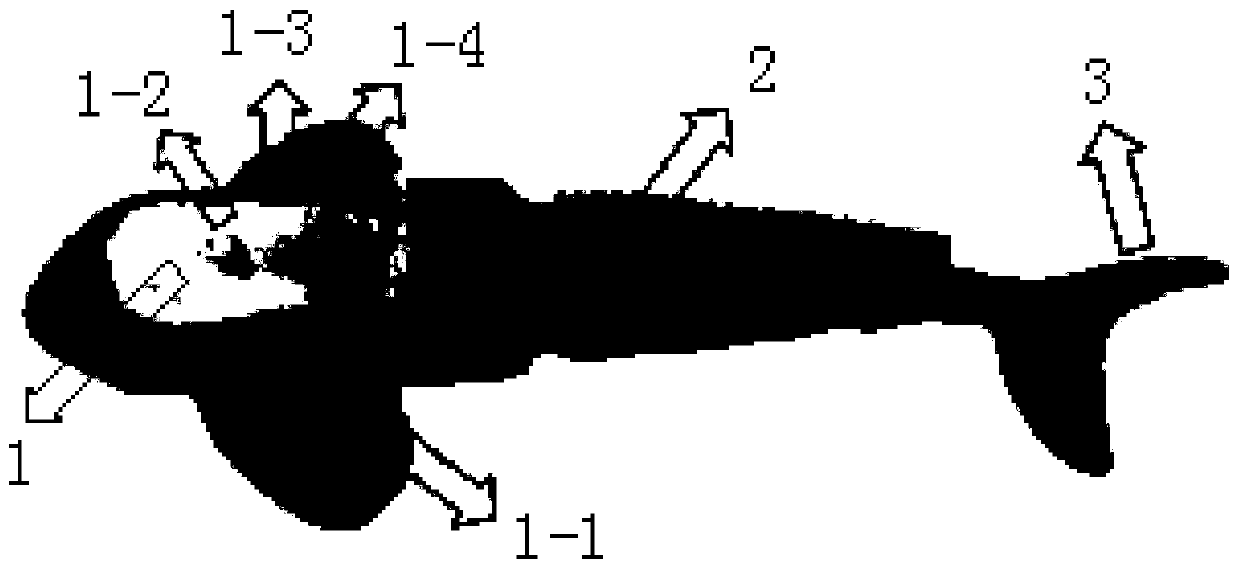 Method for controlling movement trajectory of robotic fish group for floating object transportation