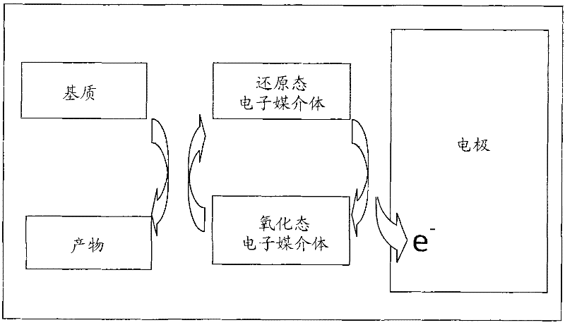Detecting method, detecting test piece and detector for redox materials in food