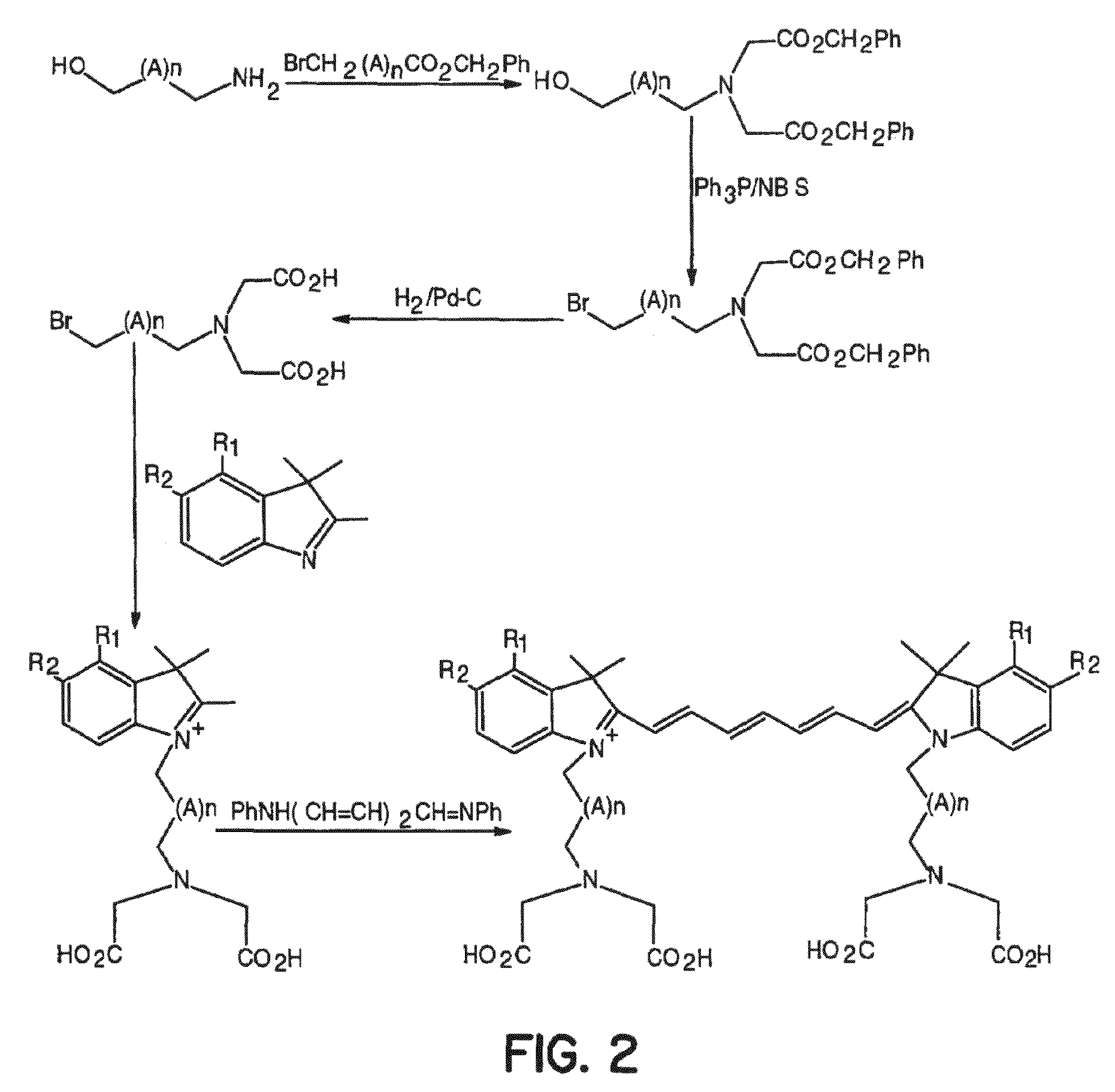 Receptor-avid exogenous optical contrast and therapeutic agents