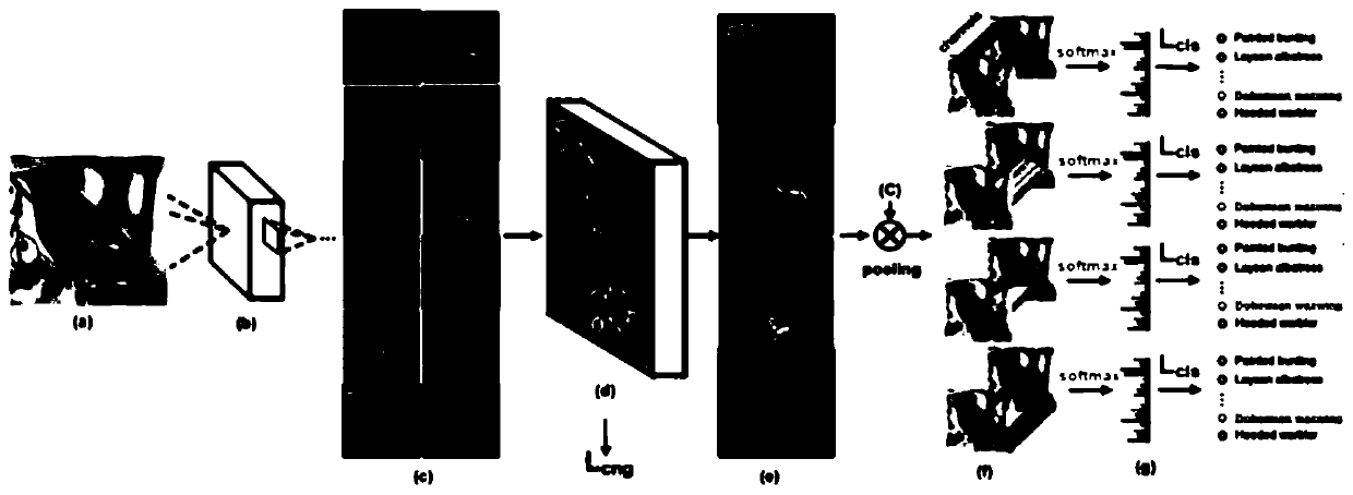 Vehicle fine-grained identification method and device