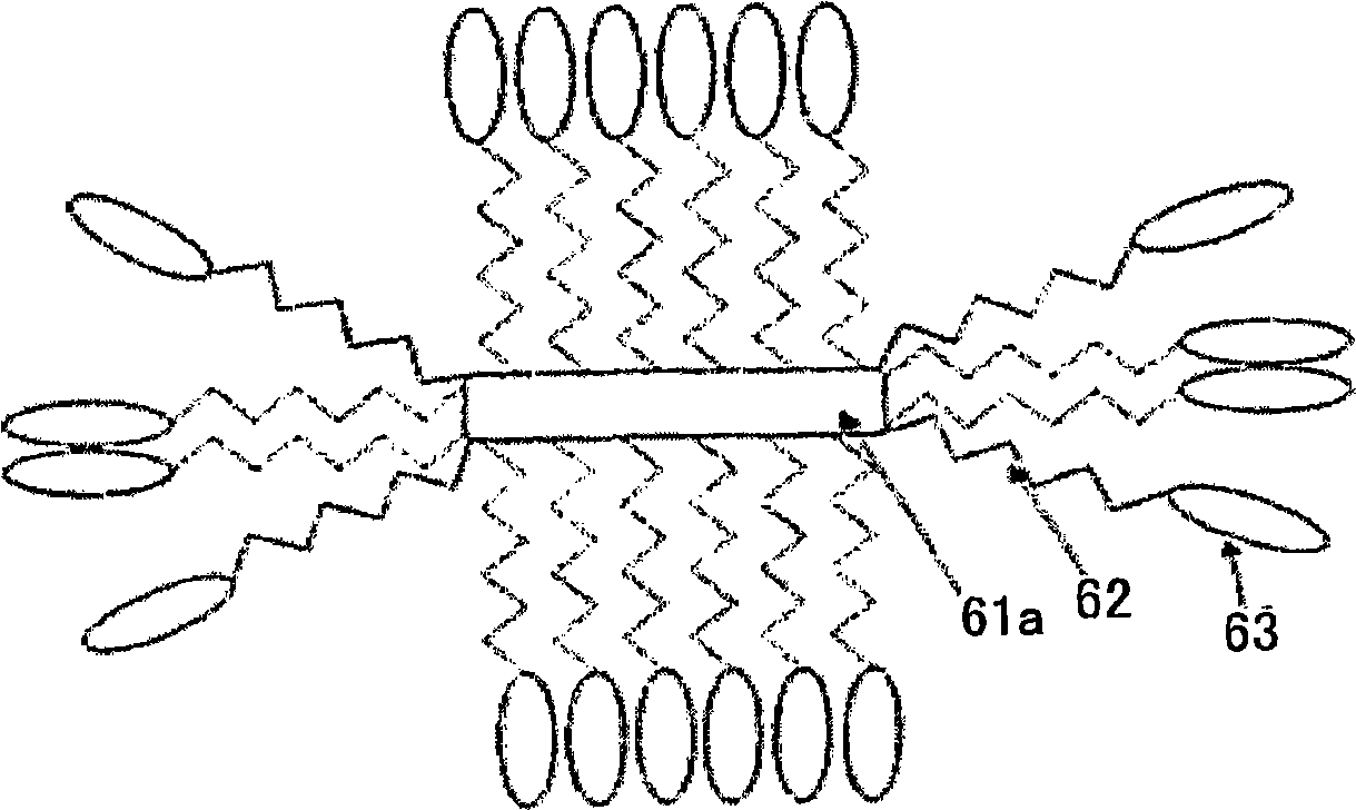 Photosensitized composite material, three-dimensional memory material and recording medium, optical power limiting material and element, photocuring material and stereolithography system, and fluoresc