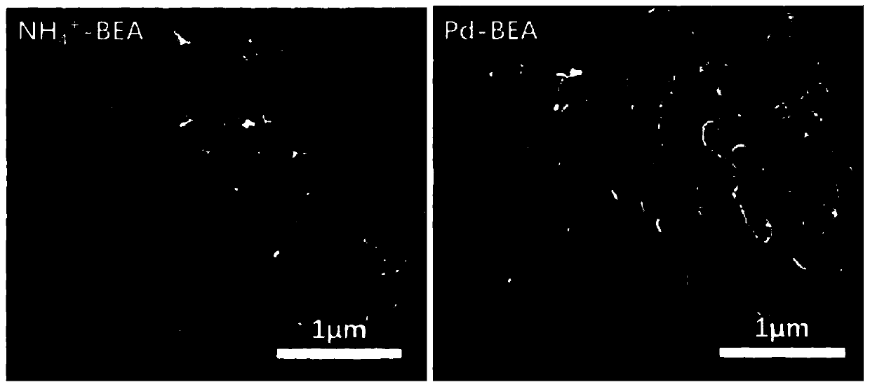 Pd-based NOX adsorbent and preparation method and application thereof