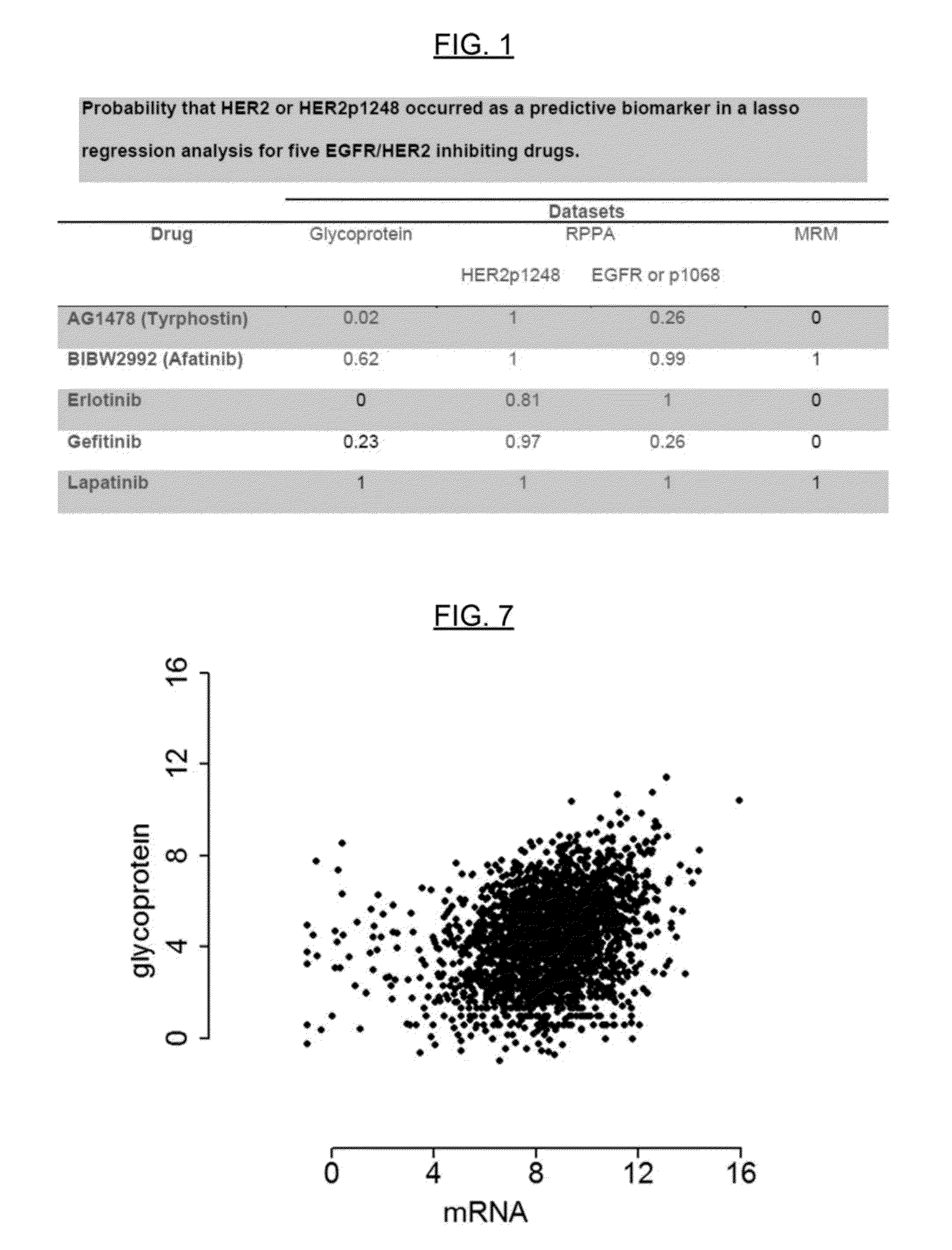 Methods and Models for Determining Likelihood of Cancer Drug Treatment Success Utilizing Predictor Biomarkers, and Methods of Diagnosing and Treating Cancer Using the Biomarkers