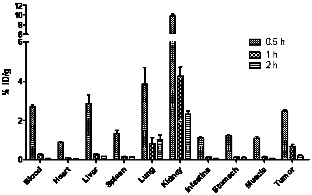 A novel peptide radiopharmaceutical targeting HER2 and its preparation method and application