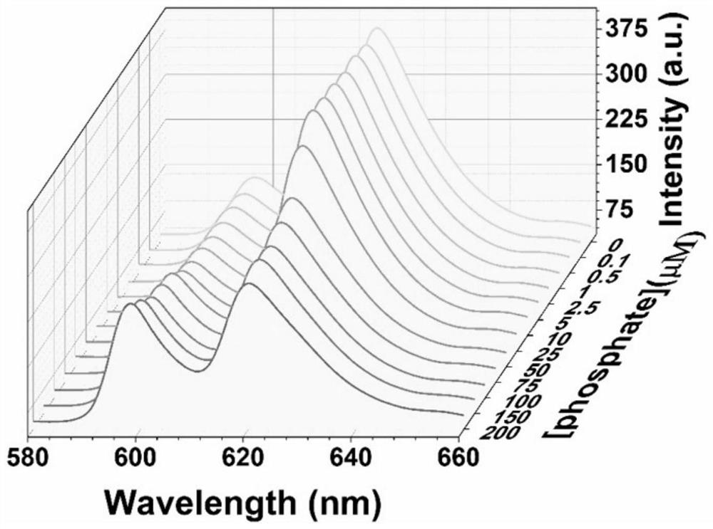 A cyclodextrin-europium molybdate/lanthanum hybrid microsphere and its preparation method and its application in the fluorescence detection of phosphorus-containing compounds