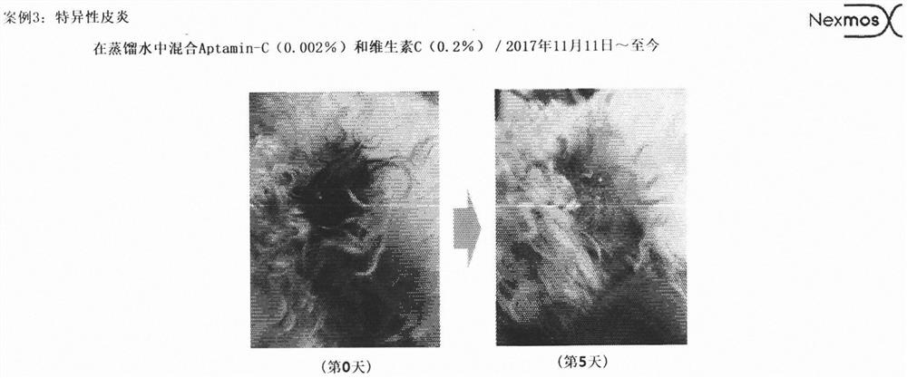 Composition for alleviating and treating hair loss, hair damage, and skin disease of animal, comprising aptamin c as active ingredient