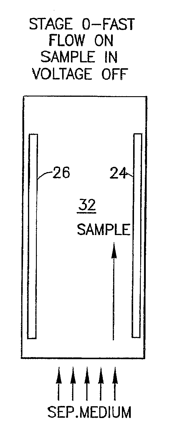 Methods and Apparatus for Carrier-Free Deflection Electrophoresis